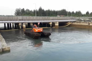 Marina Coastal Development